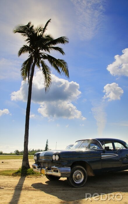 Poster Retro Fahrzeug und Palme