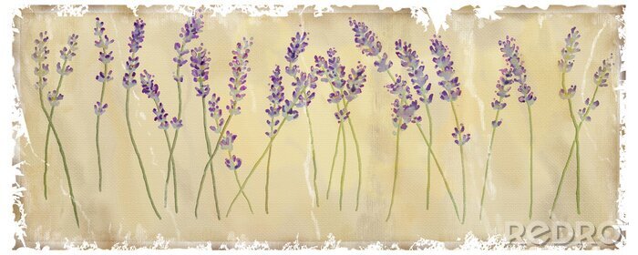 Poster Retro-Illustration mit Lavendel