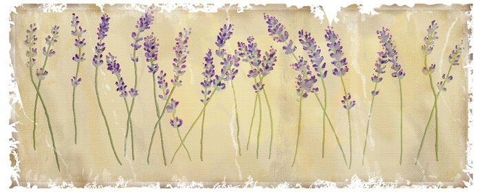 Poster Retro-Illustration mit Lavendel