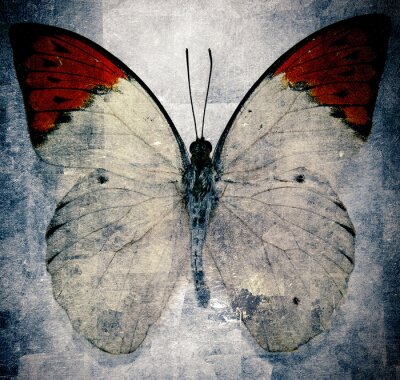 Retro-Illustration mit Schmetterling