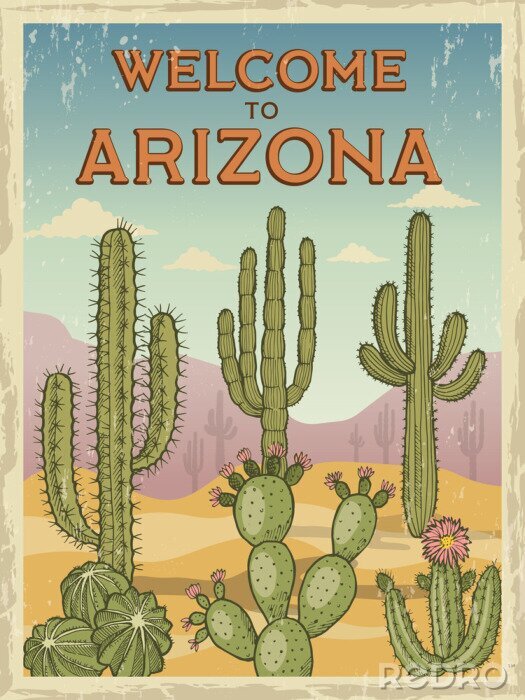 Poster Retro-Illustration mit Wüste und Kakteen