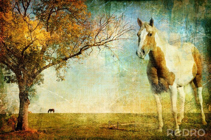 Poster Retro Pferde auf der Lichtung