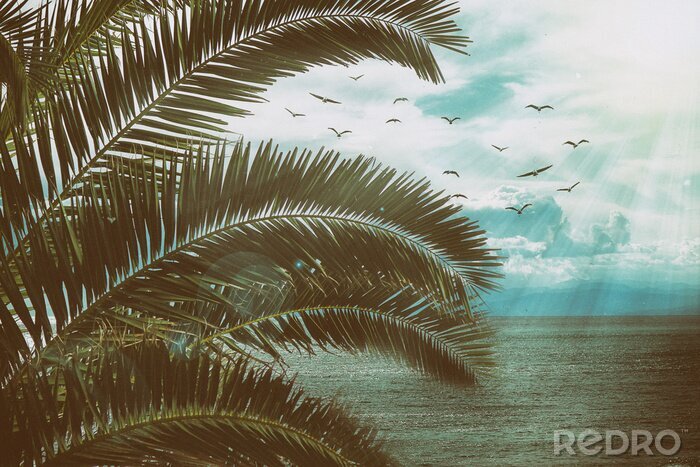 Poster Retro seelandschaft mit Palmblättern, Vögeln und Sonnenstrahlen. Vintage-Textur mit Staub und Kratzern.