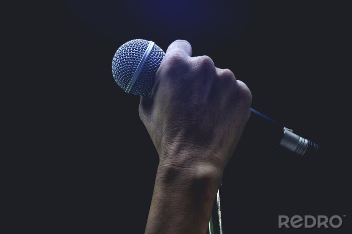 Poster Rockmusiker hält ein Mikrofon