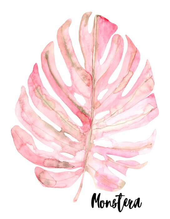 Poster Rosa Aquarell-Monstera-Blatt