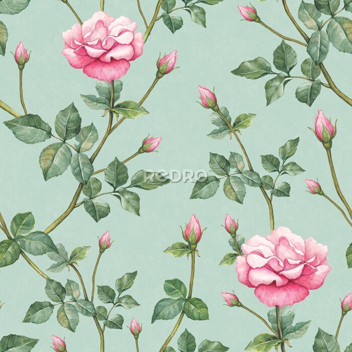 Poster Rosa Blütenknospen auf einem sanften grünen Hintergrund