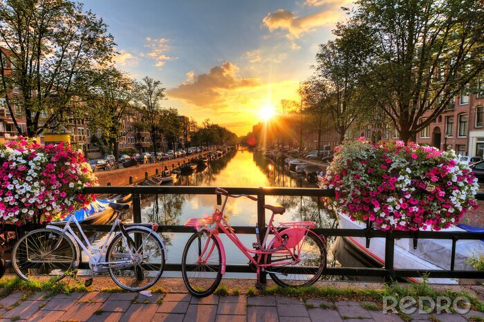 Poster Rosa Fahrrad mit Blumen