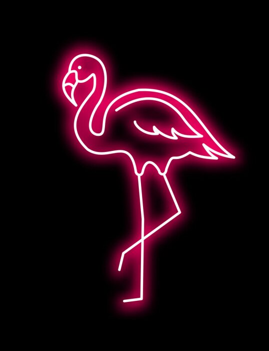 Poster Rosa Flamingo Neon