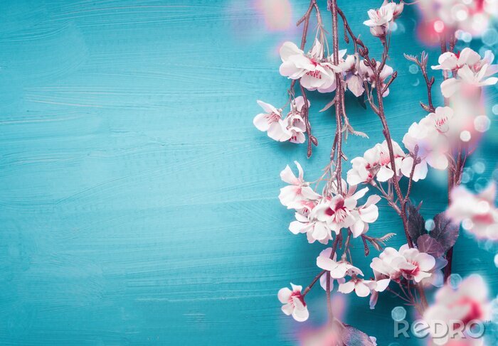 Poster Rosa Frühlingszweige auf blauem Hintergrund