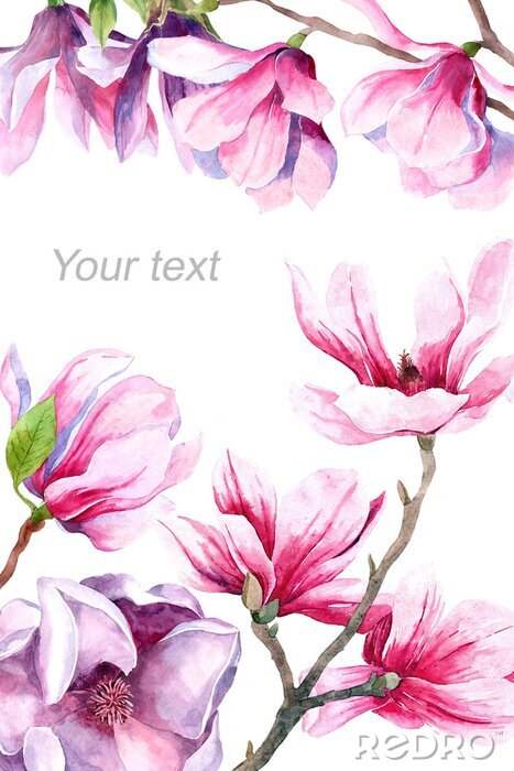 Poster Rosa Magnolie mit Frühlingsblättern
