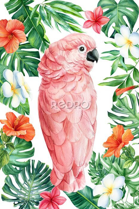 Poster Rosa Papageien- und Hibiskusblüten