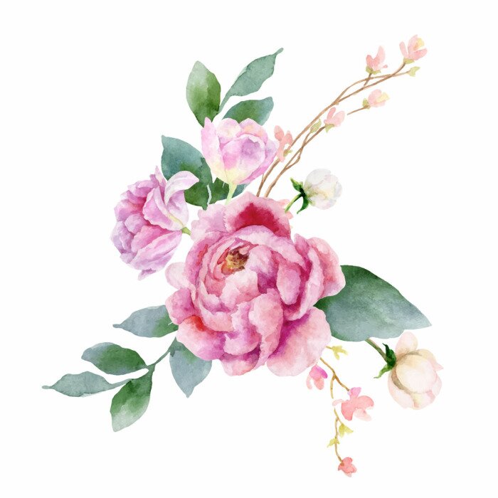 Poster Rosa Pfingstrosen auf grünen Blättern