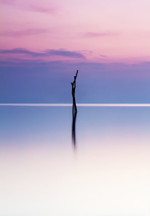 Poster Rosa Schein über dem Meer