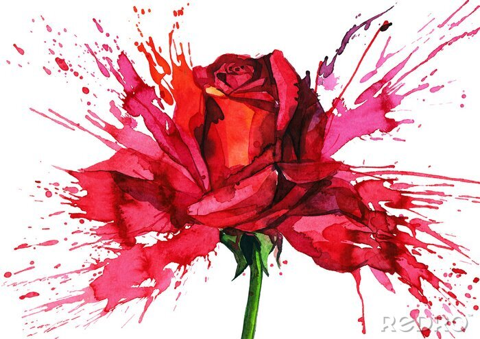 Poster Rose abstrakte Zeichnung mit Aquarellfarben