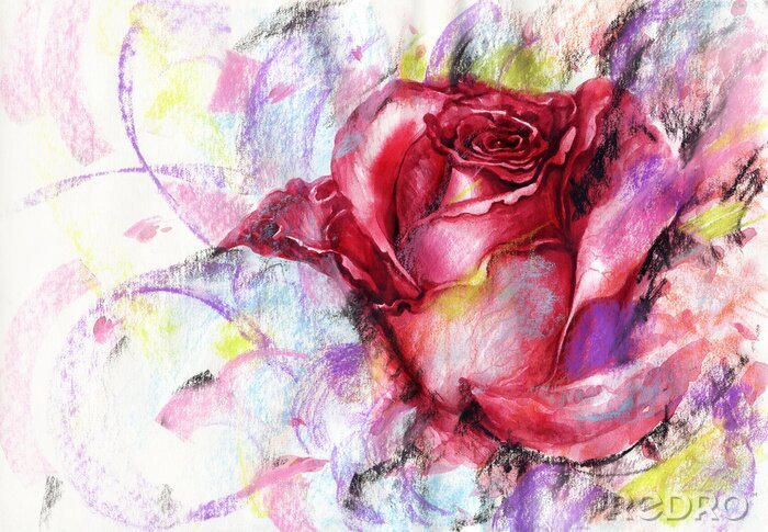 Poster Rose auf farbigem Hintergrund gemalt