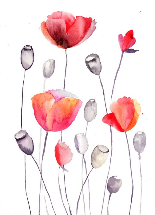 Poster Rot schattierte Mohnblumen und Mohnköpfe