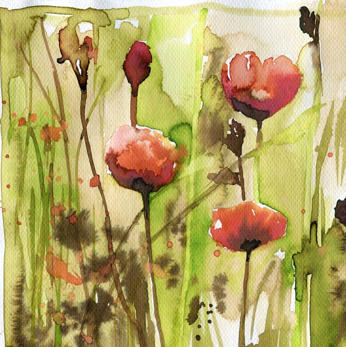 Poster Rote Aquarell-Mohnblumen
