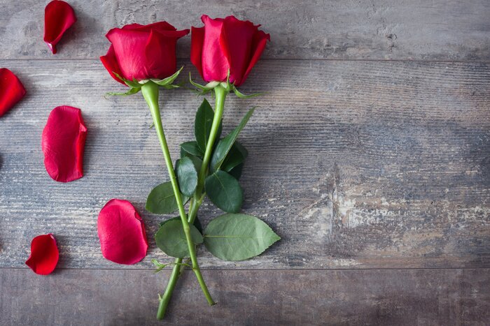 Poster Rote Blumen mit gekreuzten Stielen