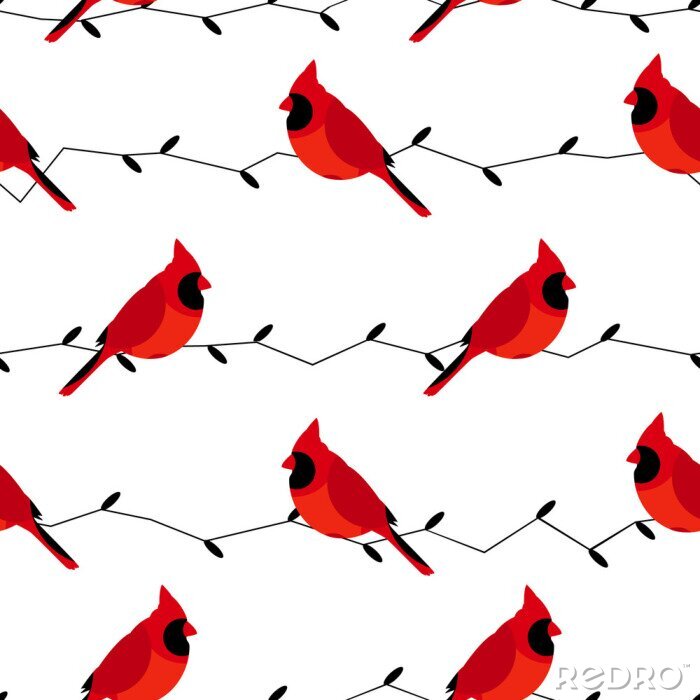 Poster Rote Vögel auf weißem Hintergrund