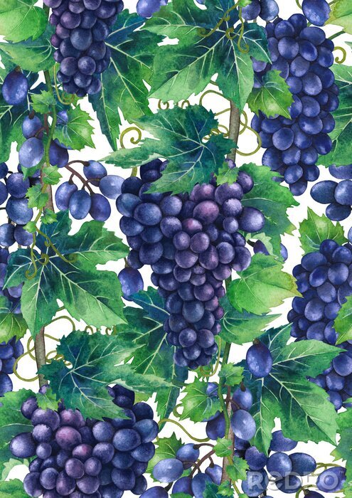 Poster Saftige Weintrauben