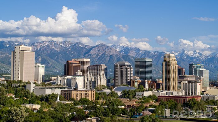 Poster Salt Lake City Panorama am Tag