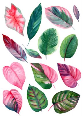 Poster Sammlung von rosa und grünen Blättern
