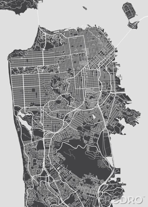 Poster San Francisco Stadtplan, detaillierte Vektorkarte