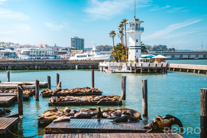 Poster San Francisco und Fisherman's Wharf