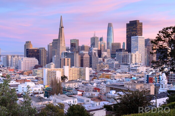 Poster San Francisco und Stadtpanorama