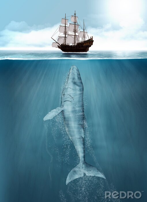 Poster Schiff und Buckelwal