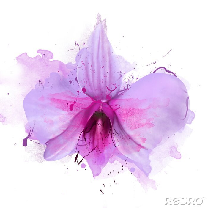Poster Schläfrige Orchidee in Violetttönen