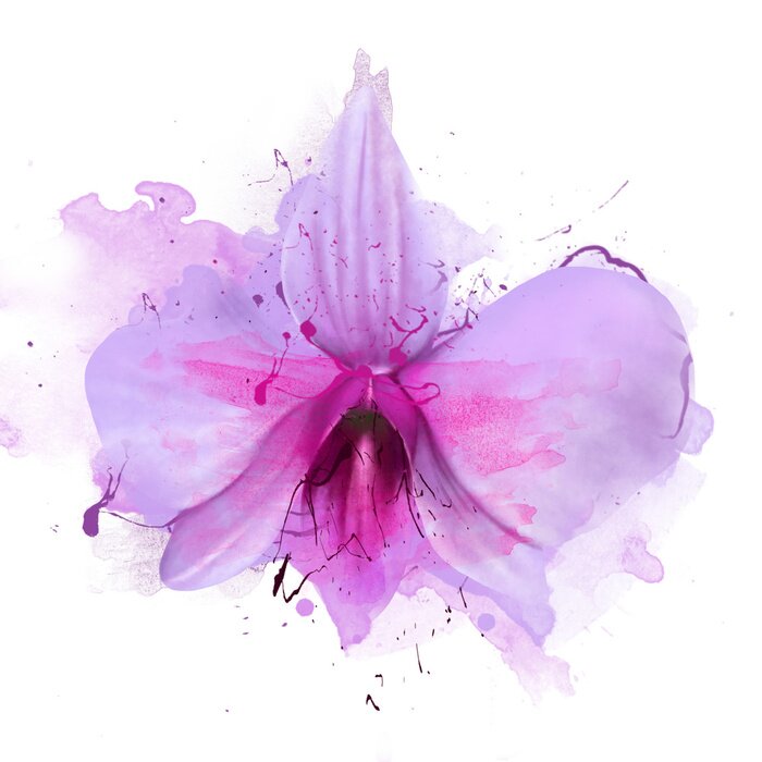 Poster Schläfrige Orchidee in Violetttönen