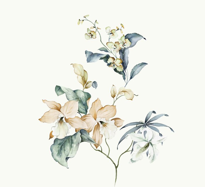 Poster Schläfrige Orchidee in Weiß mit blauen Blättern