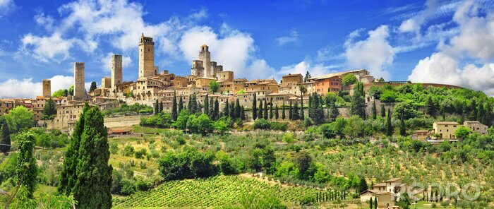 Poster Schloss in San Gimignano italienische Landschaft