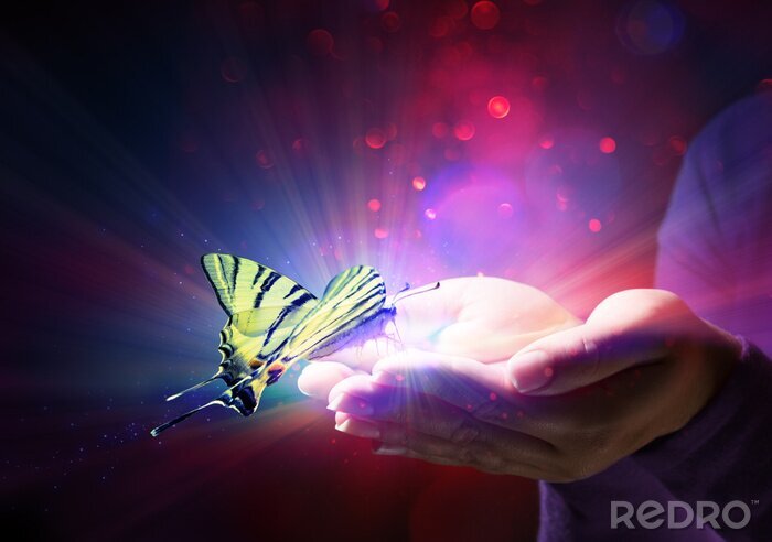 Poster Schmetterling fliegt aus den Händen