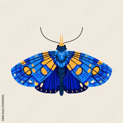 Poster Schmetterling mit bunten blauen Flügeln
