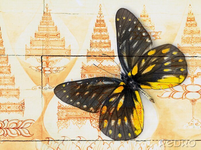 Poster Schmetterling vor dem Hintergrund der Architektur