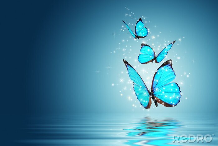 Poster Schmetterlinge blau am Wasser
