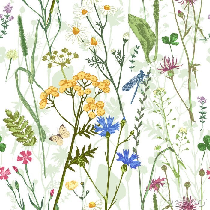 Poster Schmetterlinge und Libellen auf einer Blumenwiese