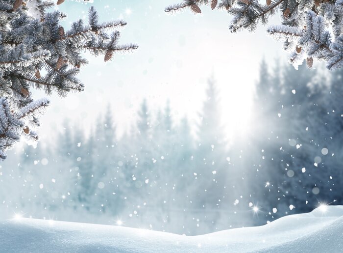 Poster Schnee, der von den Ästen der Bäume fällt