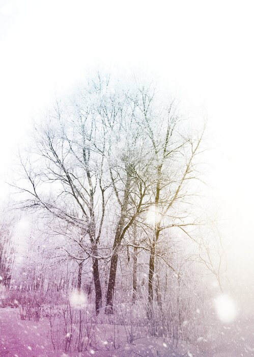 Poster Schneebedeckte Bäume in bunter Ästhetik