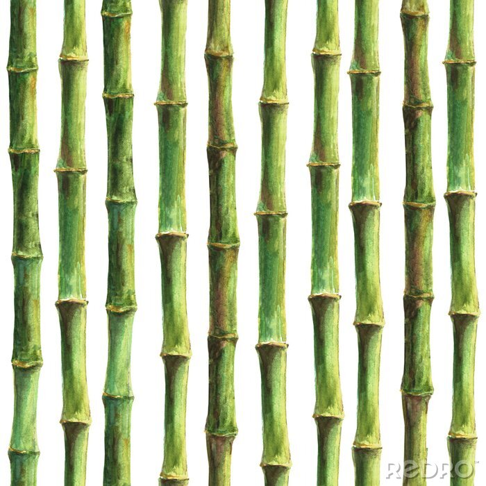 Poster Schöne Bambuszeichnung