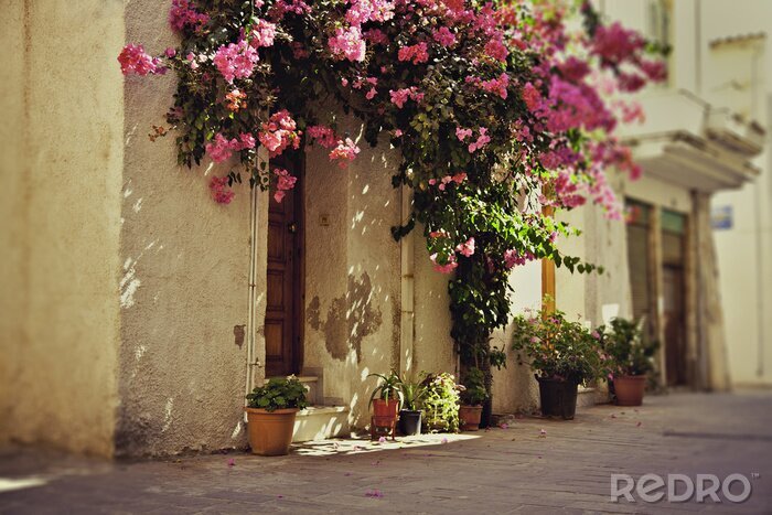 Poster Schöne rosafarbenen Blumen über Tür