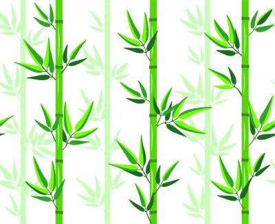 Poster Schöner Bambus mit grünen Blättern