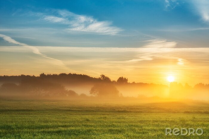 Poster Schöner sommerlicher Sonnenaufgang über den Feldern