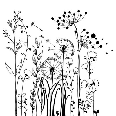 Poster Schwarz-weiß Blumen auf der Wiese