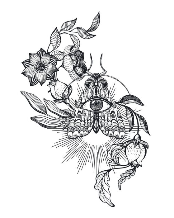 Poster Schwarz-weiß Blumen, Motte und Auge