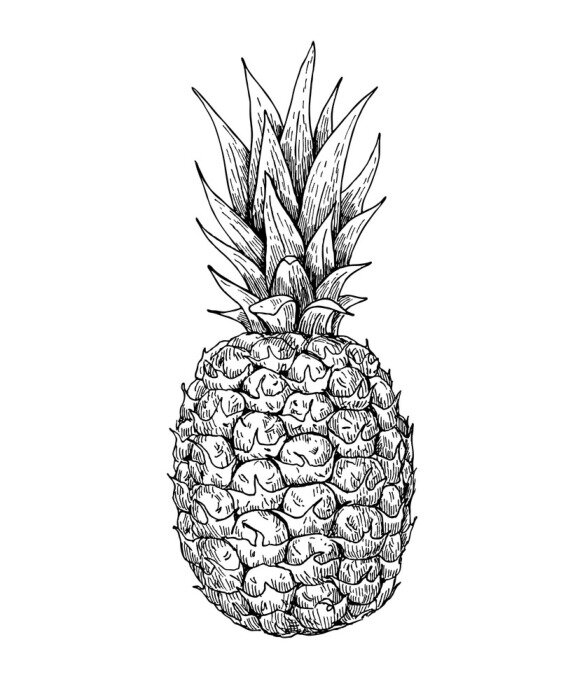 Poster Schwarz-weiße Ananas