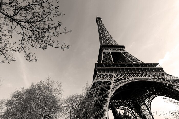 Poster Schwarz-weiße Architektur von Pariser Denkmälern