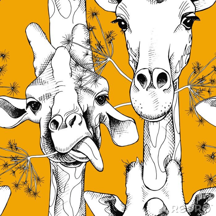 Poster Schwarz-weiße Giraffen auf gelbem Hintergrund